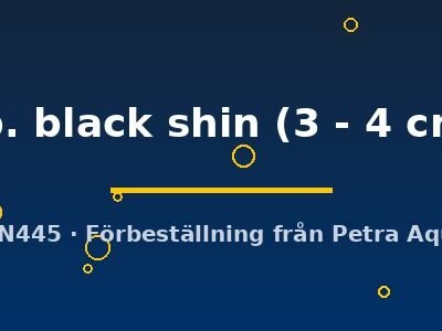 sp. black shin (3 - 4 cm)