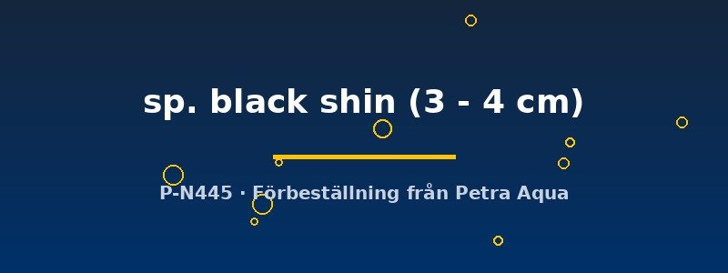 petra-ph2-173273 petra-ph2-173273