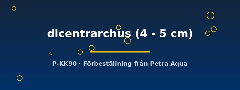 petra-ph2-173316 petra-ph2-173316