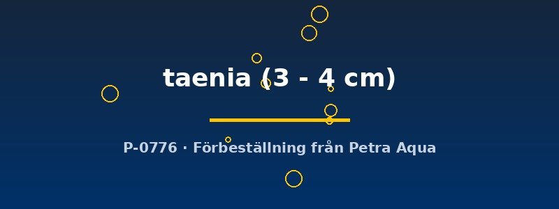 petra-ph2-173336 petra-ph2-173336
