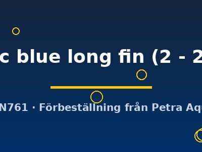 Papiliochromis ramirezi electric blue long fin 2–2,5 cm