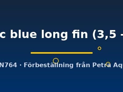 Papiliochromis ramirezi electric blue long fin 3,5–4 cm