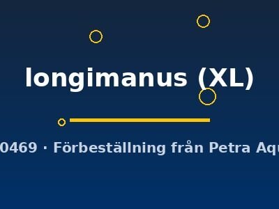 longimanus (XL)