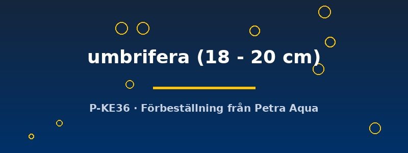 petra-ph2-173509 petra-ph2-173509