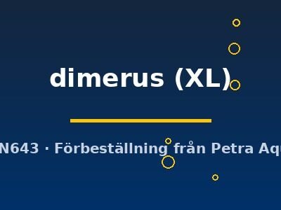 Cichlasoma dimerus XL