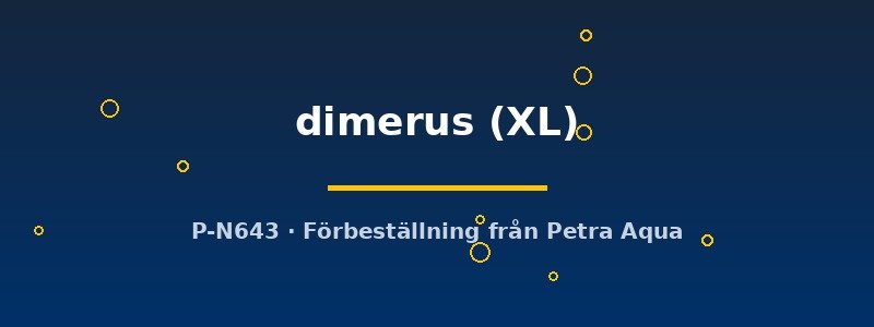 petra-ph2-173550 Cichlasoma dimerus XL