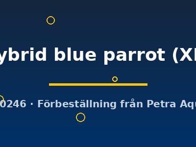 Cichlasoma hybrid blue parrot XL