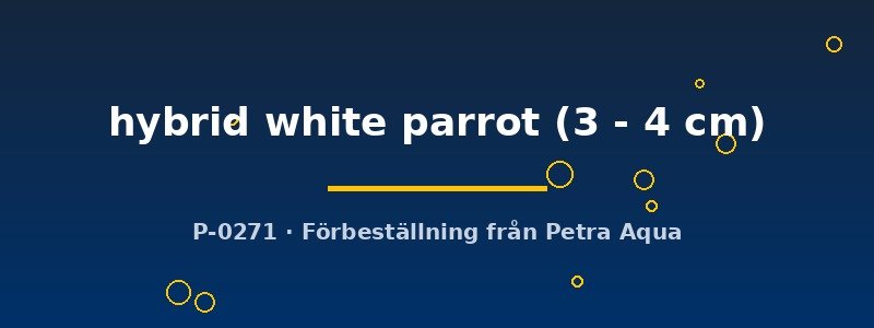 petra-ph2-173578 Cichlasoma hybrid white parrot 3–4 cm