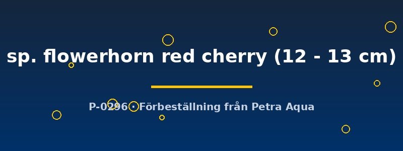 petra-ph2-173656 petra-ph2-173656
