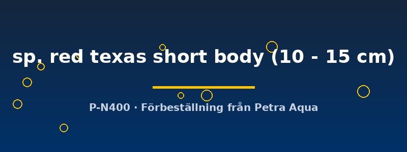 petra-ph2-173664 petra-ph2-173664