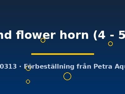 Round flower horn (4 - 5 cm)