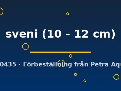 sveni (10 - 12 cm)