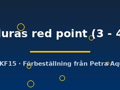 Cryptoheros honduras red point 3–4 cm