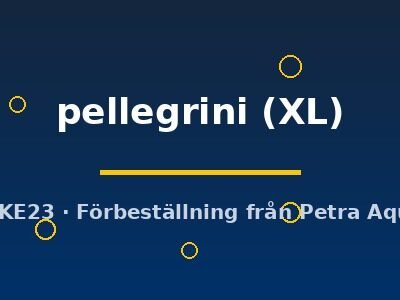 pellegrini (XL)