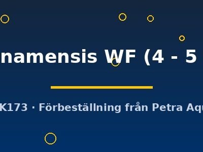 surinamensis WF (4 - 5 cm)