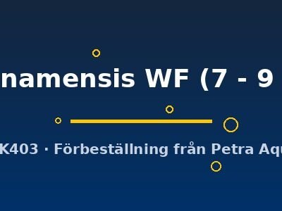 surinamensis WF (7 - 9 cm)