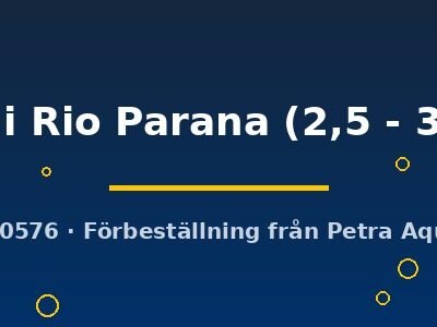 sveni Rio Parana (2,5 - 3 cm)
