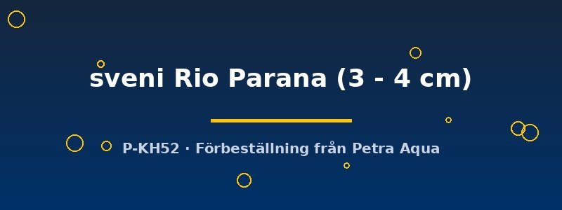 petra-ph2-173777 petra-ph2-173777