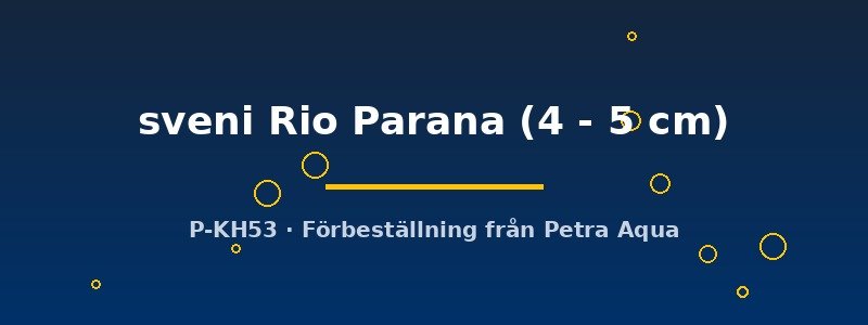 petra-ph2-173778 petra-ph2-173778