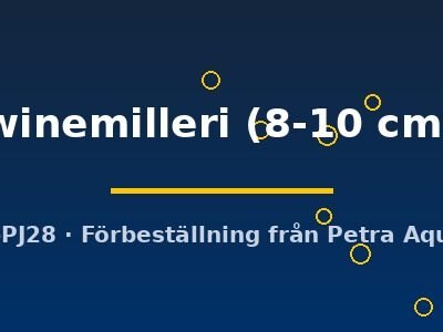 winemilleri (8-10 cm)