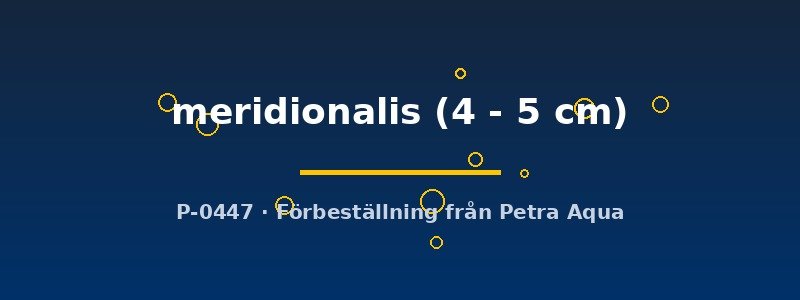 petra-ph2-173796 petra-ph2-173796