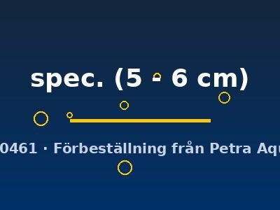 spec. (5 - 6 cm)
