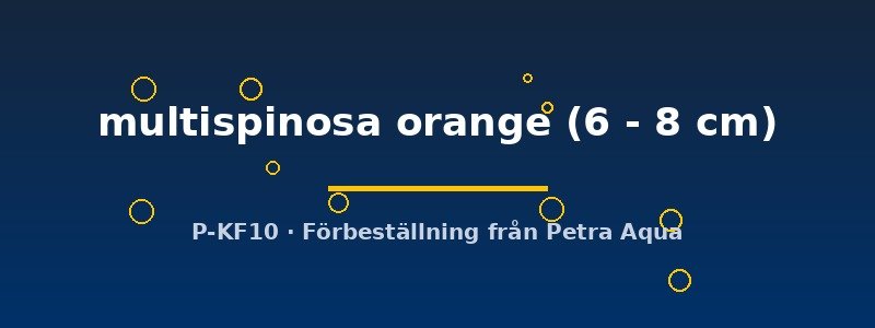 petra-ph2-173848 petra-ph2-173848