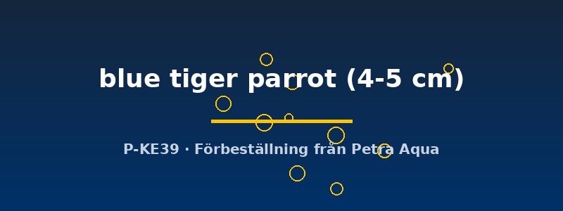 petra-ph2-173856 petra-ph2-173856