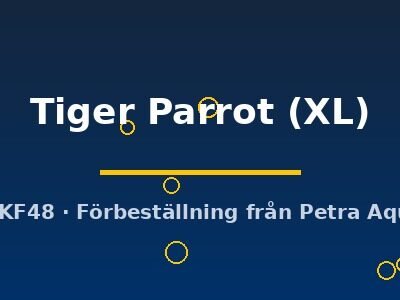 Hybrid Blue Neon Tiger Parrot XL