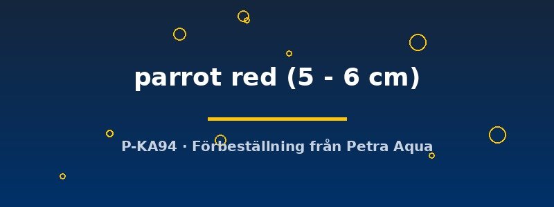 petra-ph2-173878 petra-ph2-173878