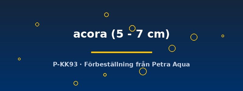 petra-ph2-173895 petra-ph2-173895