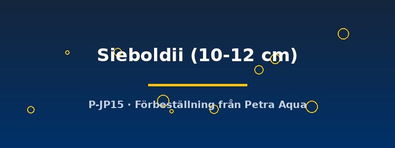 petra-ph2-173927 petra-ph2-173927