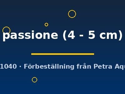 passione (4 - 5 cm)