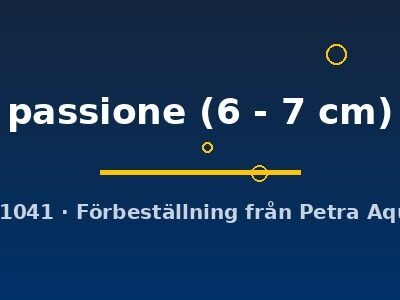 passione (6 - 7 cm)