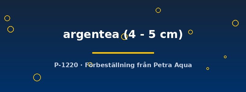 petra-ph2-173949 petra-ph2-173949
