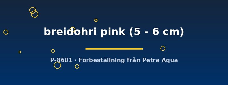 petra-ph2-173951 petra-ph2-173951