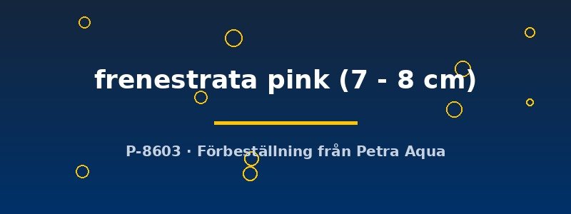 petra-ph2-173953 petra-ph2-173953