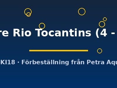 Scalare Rio Tocantins (4 - 5 cm)