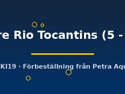Scalare Rio Tocantins (5 - 6 cm)