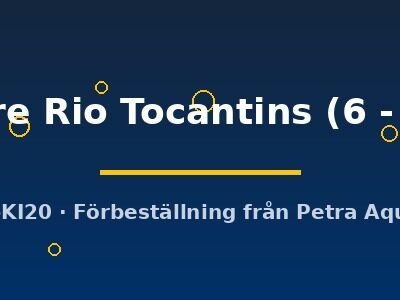 Scalare Rio Tocantins (6 - 7 cm)