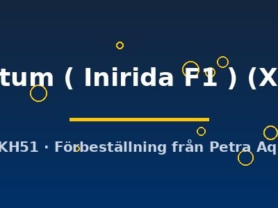 Pterophyllum altum ( Inirida F1 ) XL