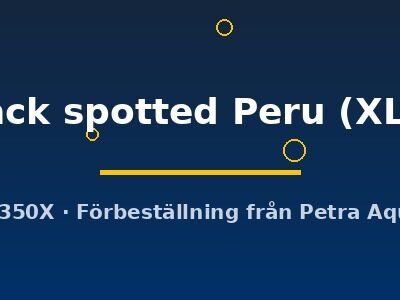 scalare black spotted Peru (XL(6 - 7 cm))