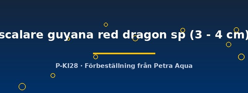 petra-ph2-173990 petra-ph2-173990