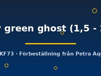 Pterophyllum scalare Pinoy green ghost 1,5–2 cm