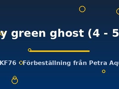 Pterophyllum scalare Pinoy green ghost 4–5 cm