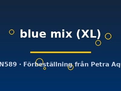 Pterophyllum scalare blue mix XL