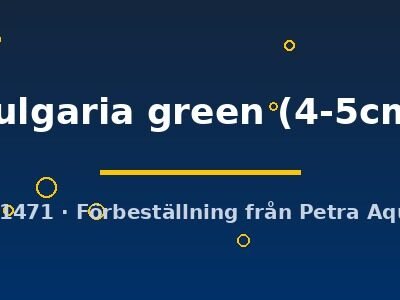 bulgaria green (4-5cm)
