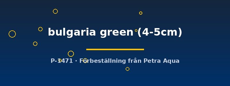 petra-ph2-174101 petra-ph2-174101
