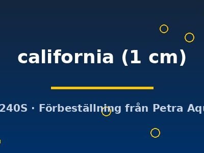 california (1 cm)