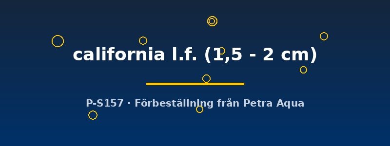 petra-ph2-174113 petra-ph2-174113
